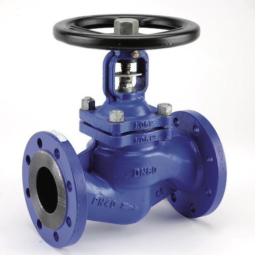 CF8 Flanged Globe Valve